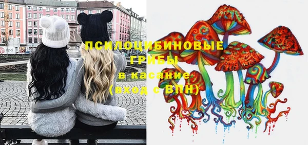 прущая мука Алзамай