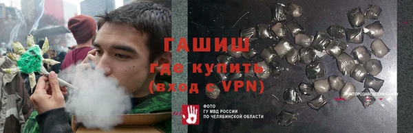 хмурый Алексин